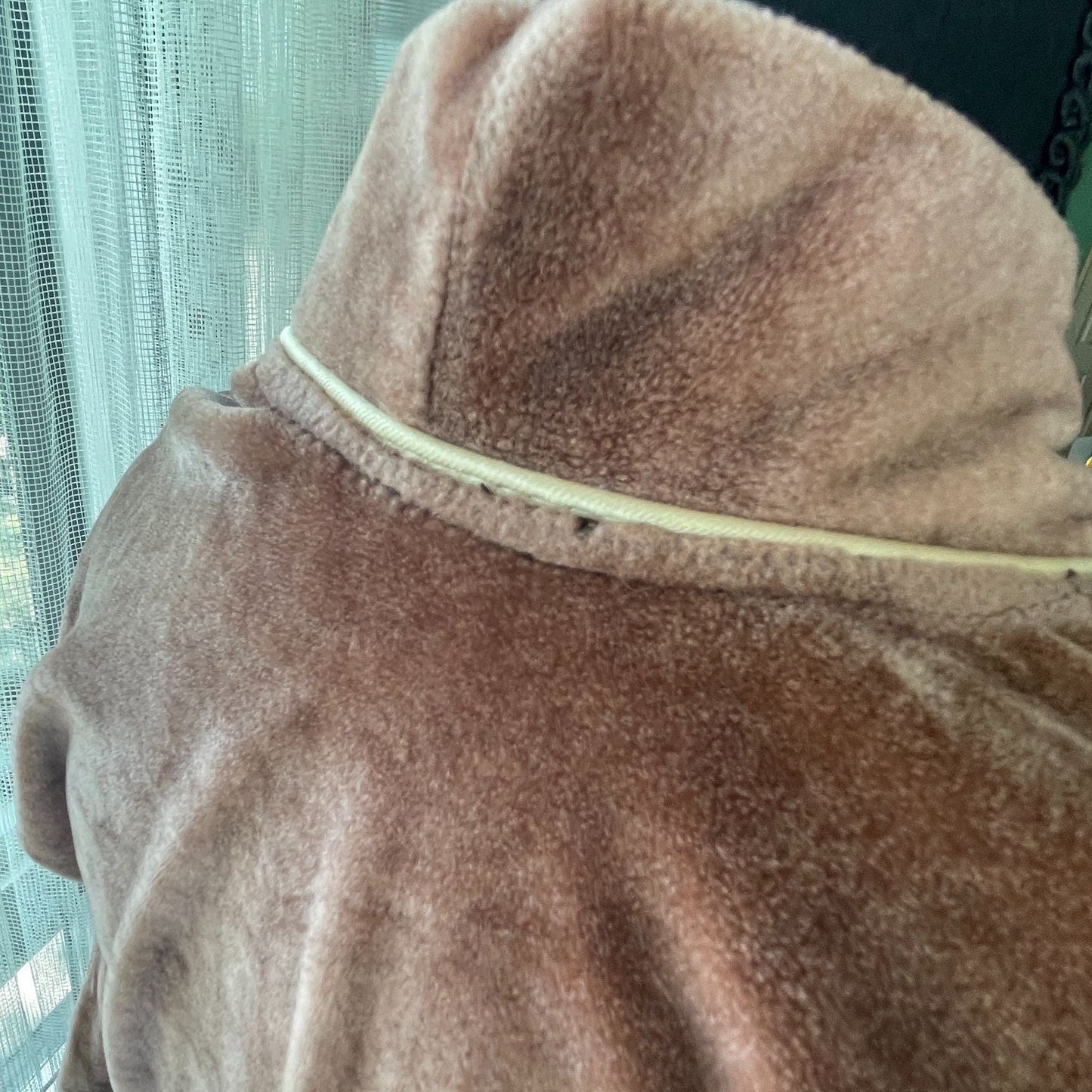 Vintage 1970s bathrobe, Pierre Cardin men's robe, chocolate brown velvet